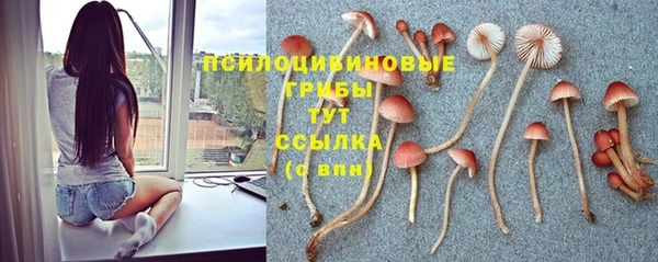 Альфа ПВП Абинск