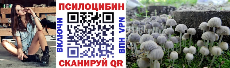 Галлюциногенные грибы Magic Shrooms  где купить   Калач 
